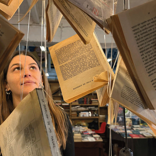 Homeostasis del Ser: visión, método y primeros pasos hacia el bienestar