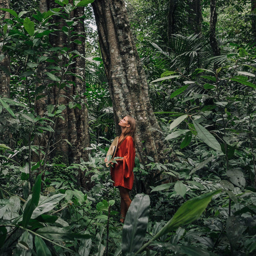 ¿Qué es salud realmente? de reparar partes a construir coherencia