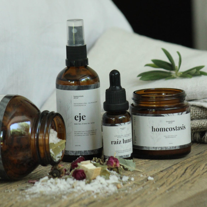 Coherencia Encarnada