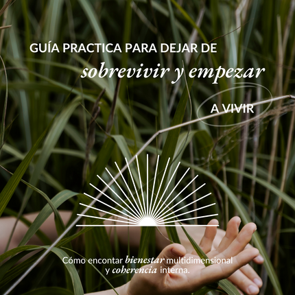 Guía Bienestar