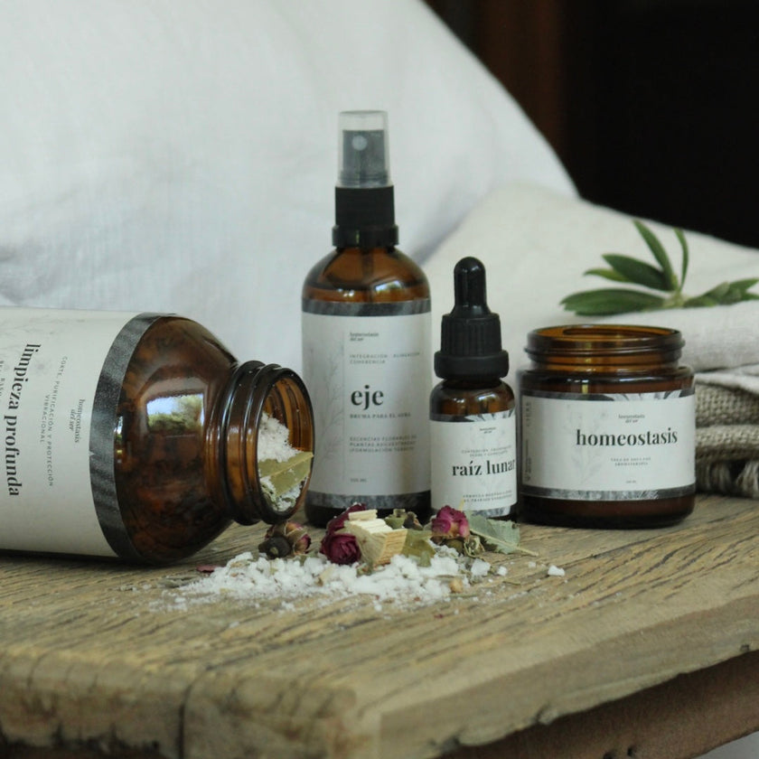 Coherencia Encarnada