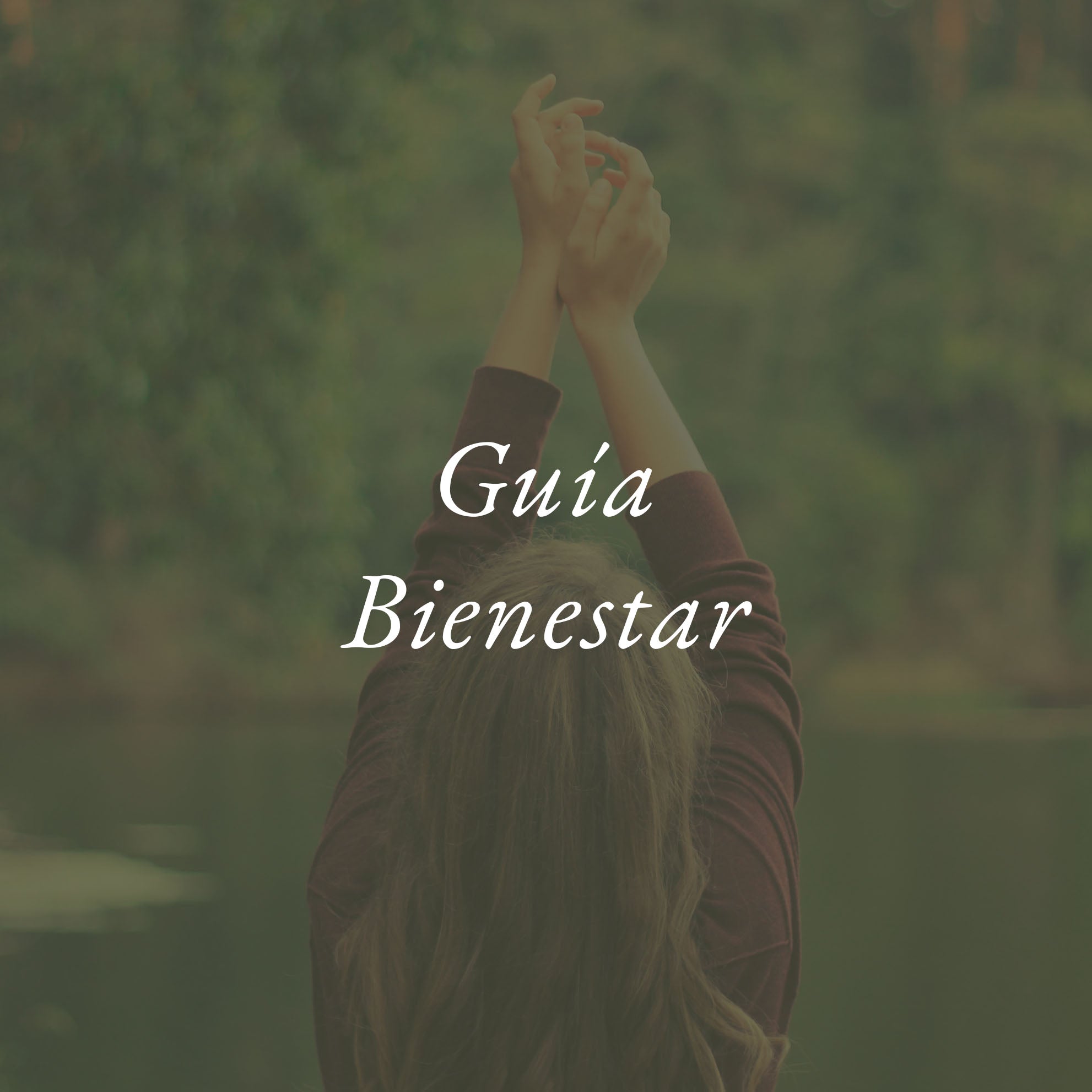 Guía Bienestar