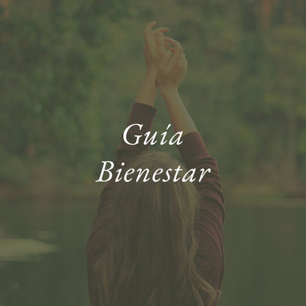 Guía Bienestar